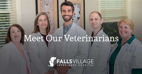 village vet|Veterinarians and Animal Hospitals .